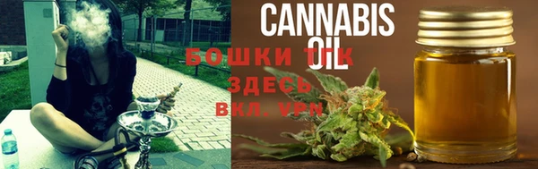 прущие крисы Мегион