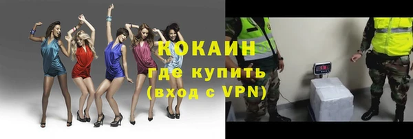 тгк Михайлов