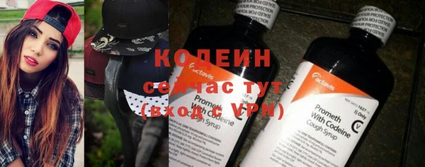 ГАЛЛЮЦИНОГЕННЫЕ ГРИБЫ Кемь